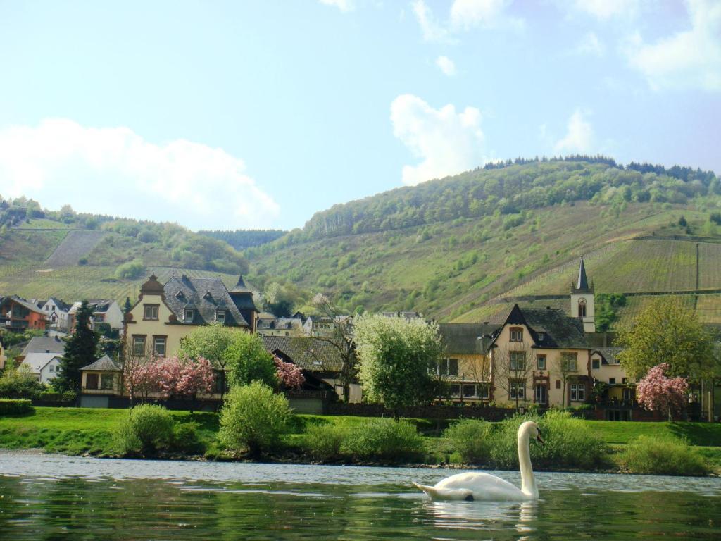 Boutique Hotel Villa Melsheimer Reil Exterior foto